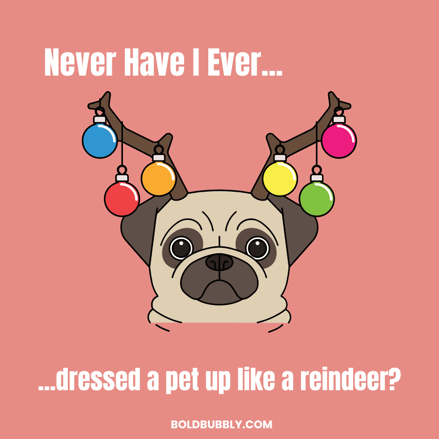 never have i ever dressed a pet up like a reindeer christmas questions