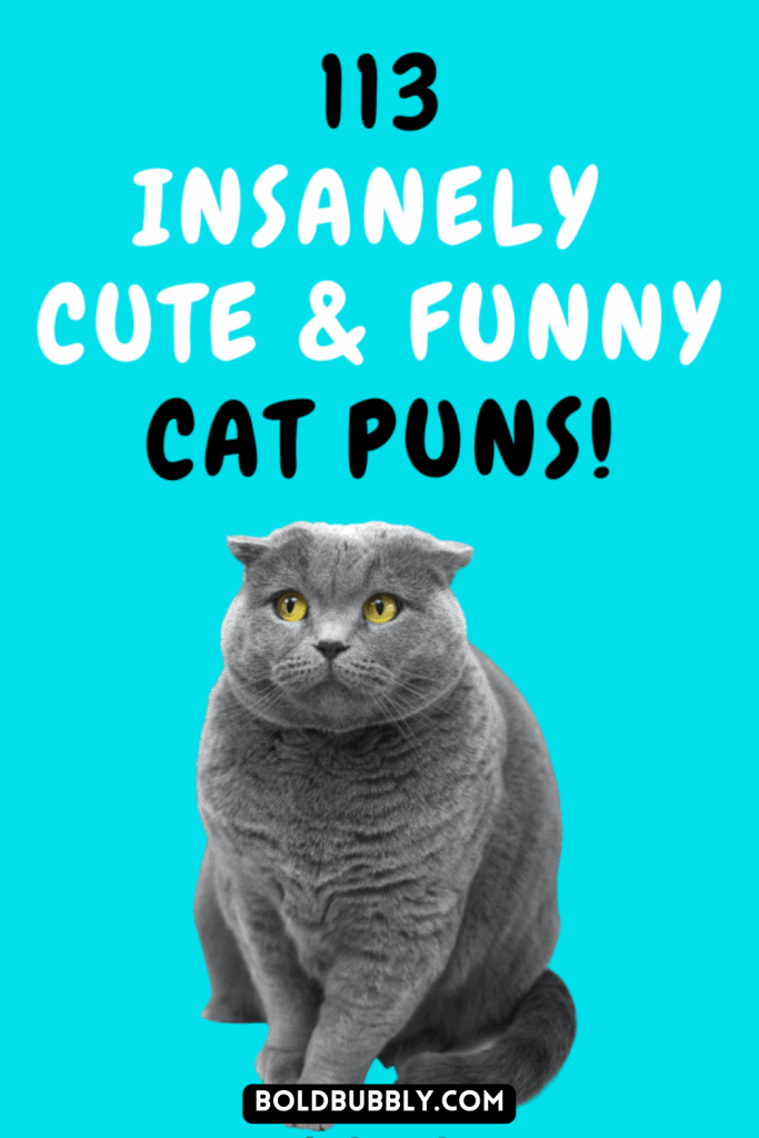 cat puns congratulations