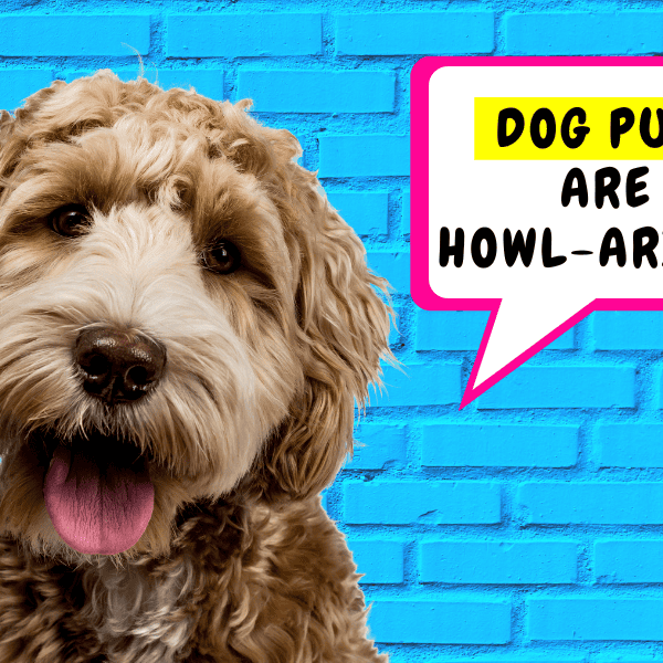 117 Funny Dog Puns That Will Make You Howl With Laughter