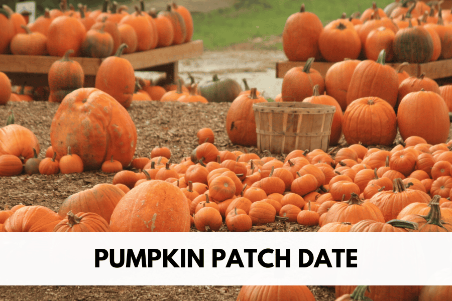 pumpkin patch date