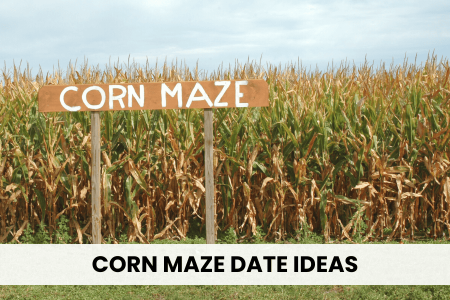 corn maze date